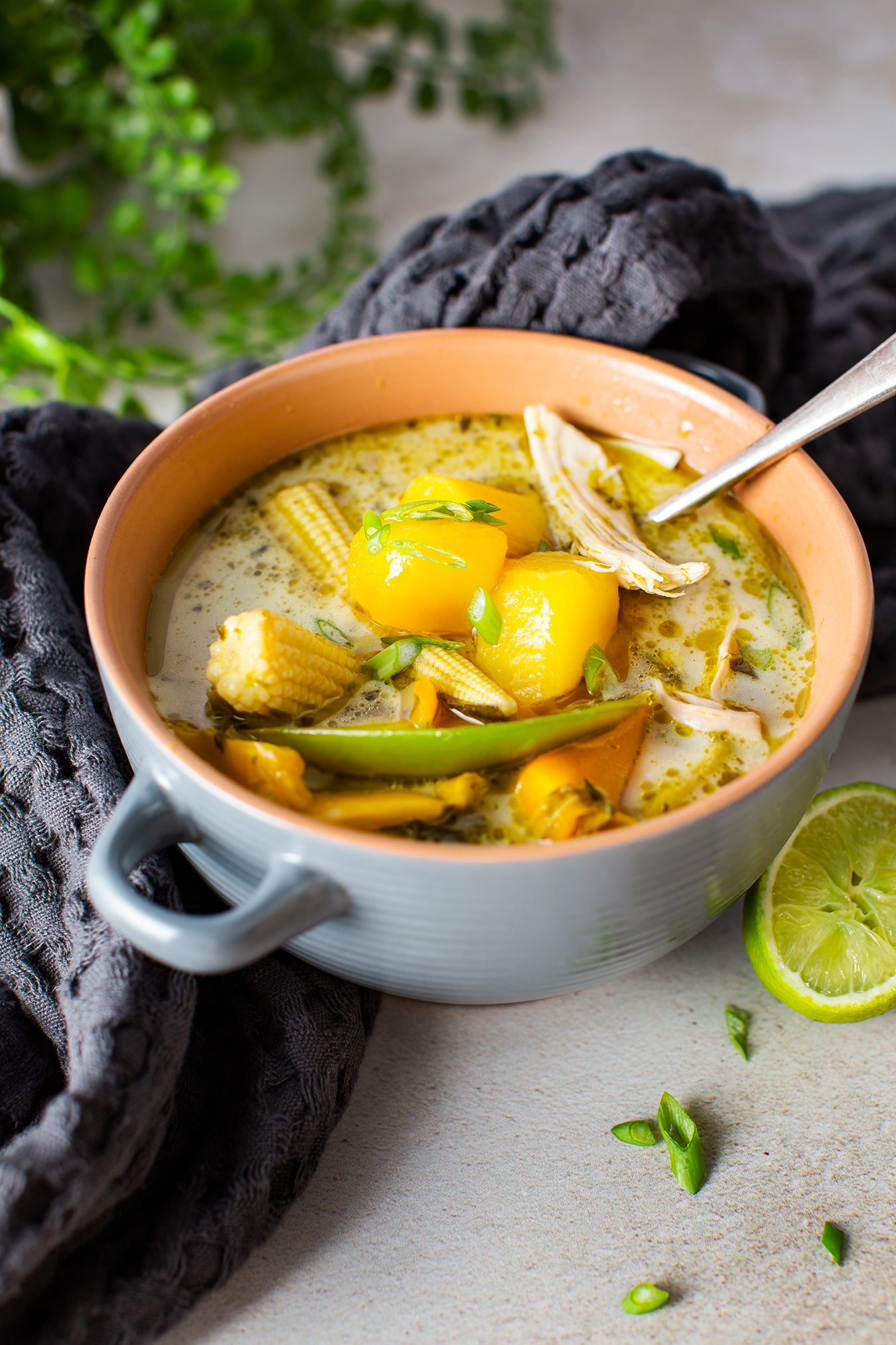 Thai Chicken, Mango & Lime Soup