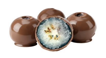 FRÜT Choc Blueberries coated in Milk Chocolate